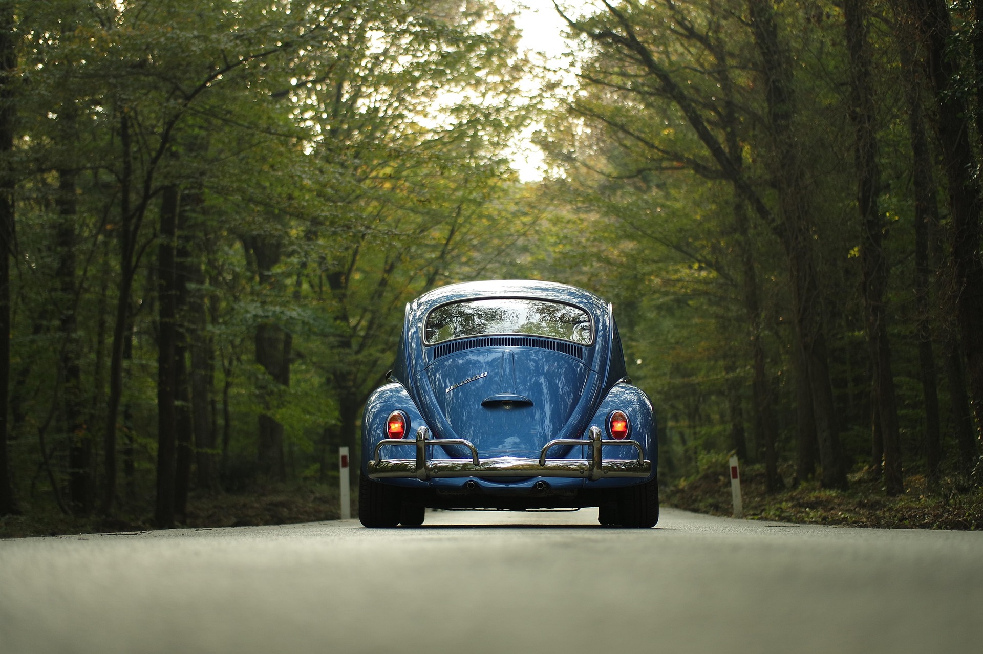 Beetle Volkswagen
